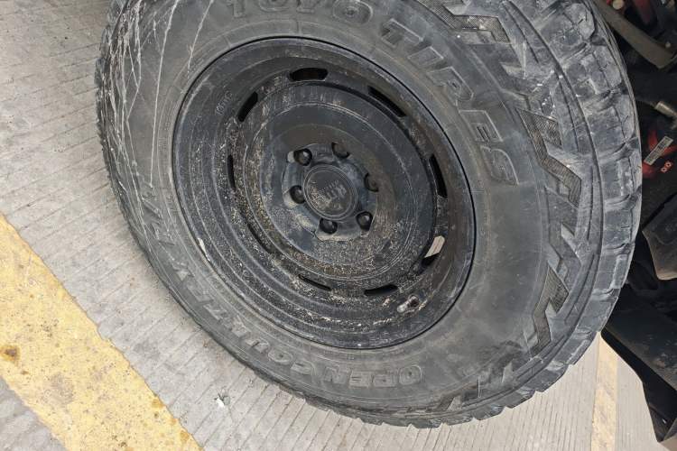 Used Tank 300 2021 2.0T Wind & Forest Iron Rider
