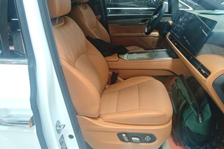 Used Wey Gaoshan 2025 Four-Wheel Drive Alpine 8 Right Front Seat