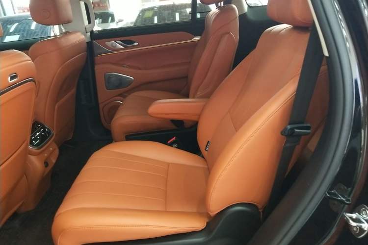 Used Wey Lanshan 2025 Four-Wheel Drive Max Left Rear Seat