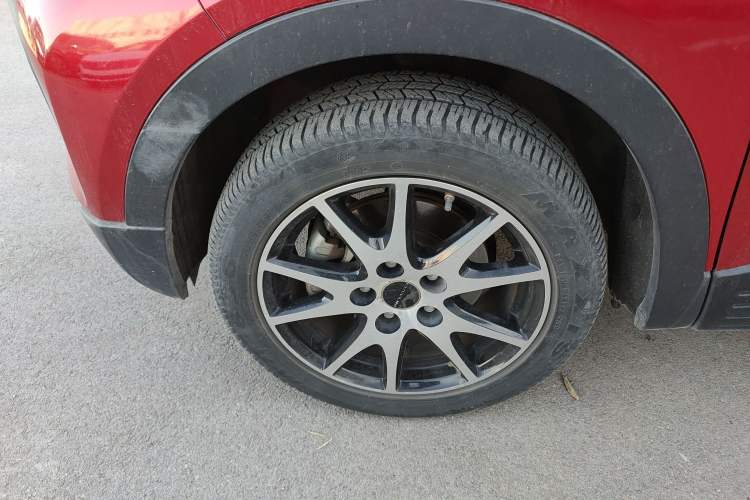 Used Dayun Yuehu 2021 32.85 kWh Two-Wheel-Drive Sprite Version