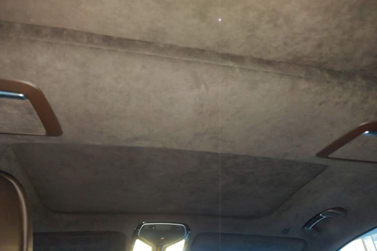 Used BMW 7 Series 2017 740Li xDrive Luxury Edition Headliner