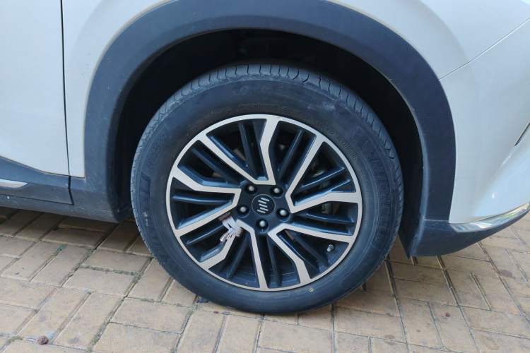 Used WM Motor W6 2021 520km PRO All-Round Edition