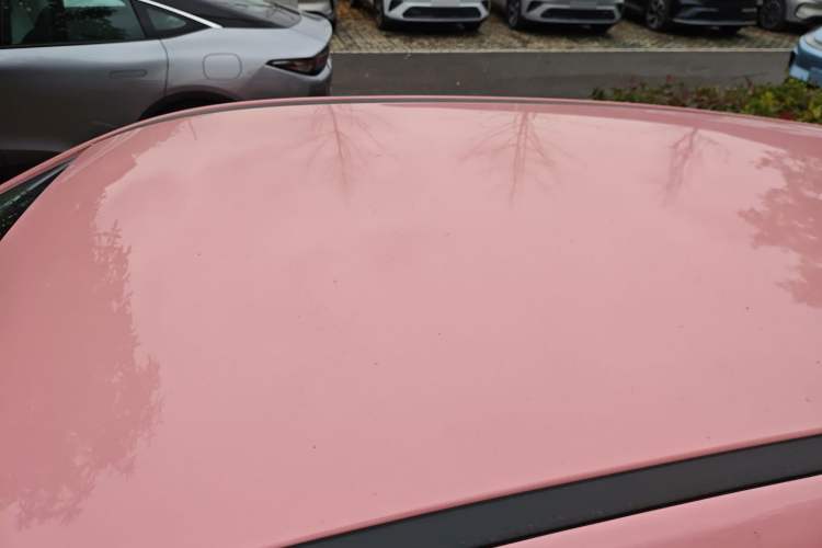 Used NETA V 2021 Long-Range Entertainment Edition
