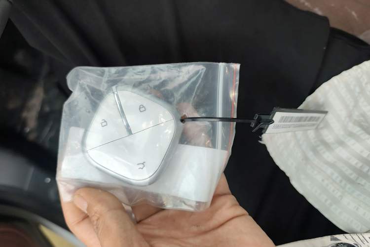 Used Wuling Bingo S 2025 Model 325km Deluxe Edition Vehicle Key