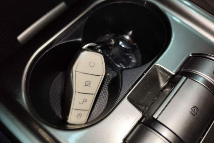 Used BYD Dolphin 2023 420 km Fashion Edition Vehicle Key