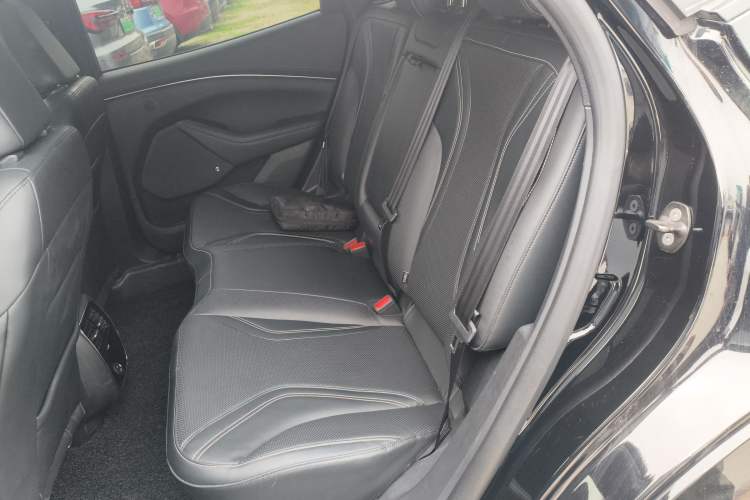 Used Ford Mustang Mach-E 2021 AION Y Plus Rear-Drive Luxury Edition (Long Range)