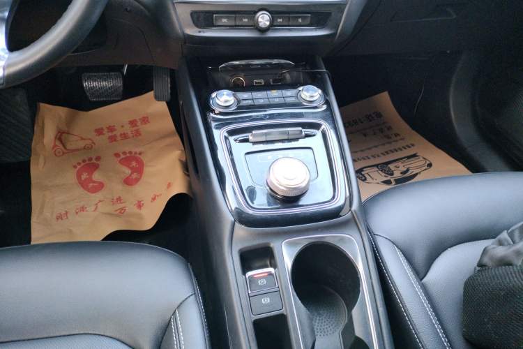 Used Roewe Ei5 2019 Luxury Edition Gear Lever