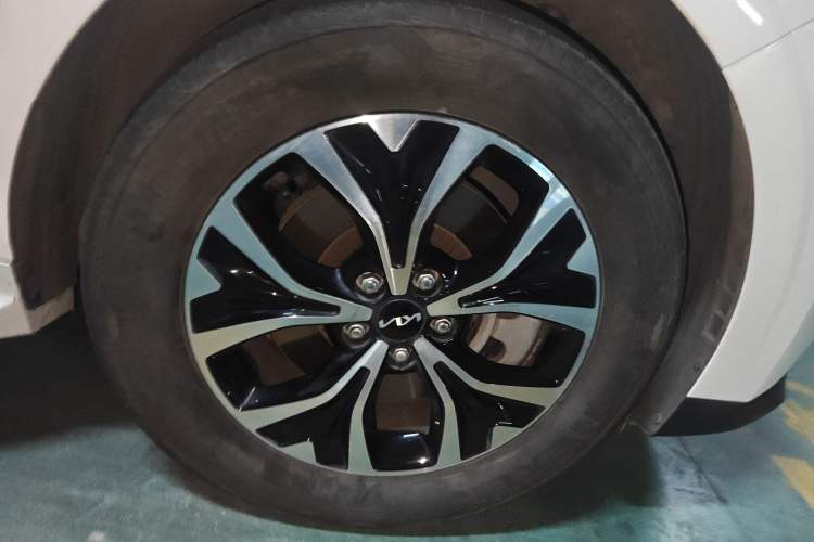 Used Kia Carnival 2021 2.0T Flagship Edition