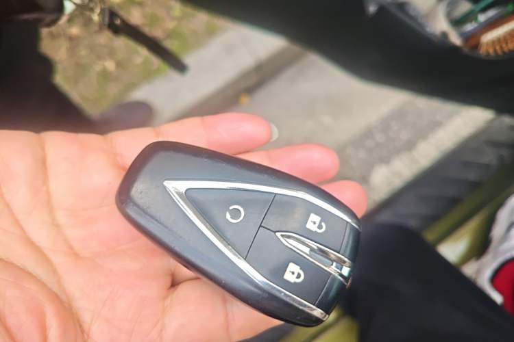 Used CHANGAN Lantop 2023 2.0T Automatic All-Wheel Drive Gasoline Flagship Standard Cab
