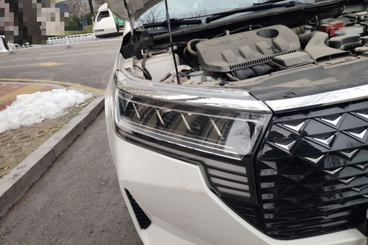 Used Venucia D60 2021 PLUS 1.6L XL CVT Yue Ling Edition
