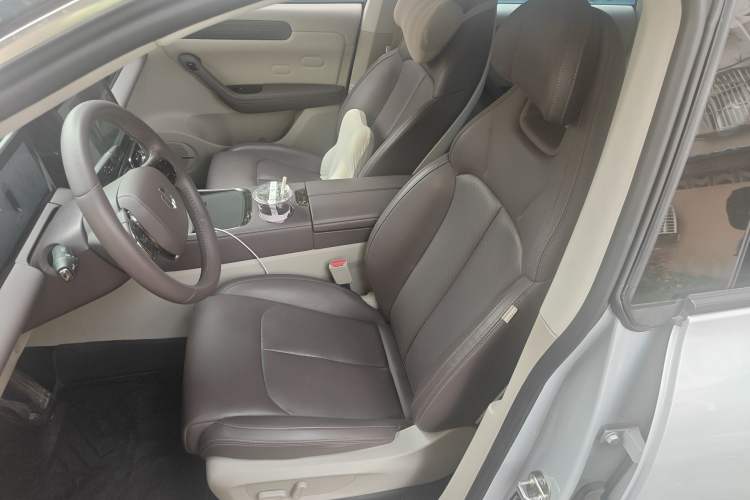 Used Leapmotor C11 2023 Pure Electric 500 Smart Edition