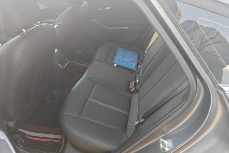 Used Hyundai Lafesta Electric 2020 DLX Enjoyment Edition