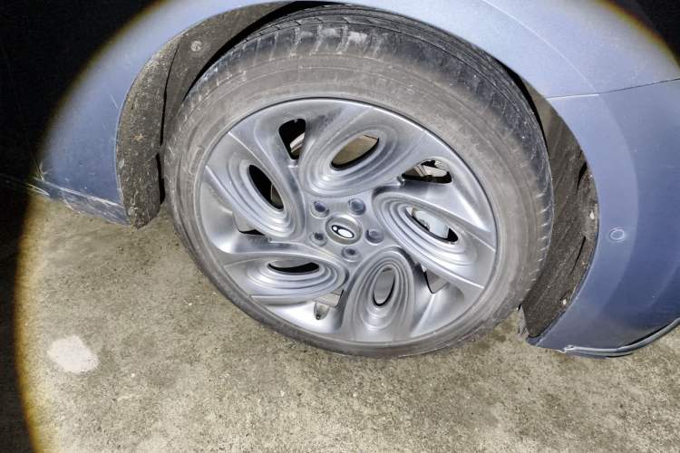 Used ORA Lightning Cat 2022 555 km Luxury Edition
