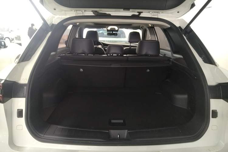 Used Venucia Star 2020 260T Automatic 48V Mild Hybrid Turbocharged Star Edition
