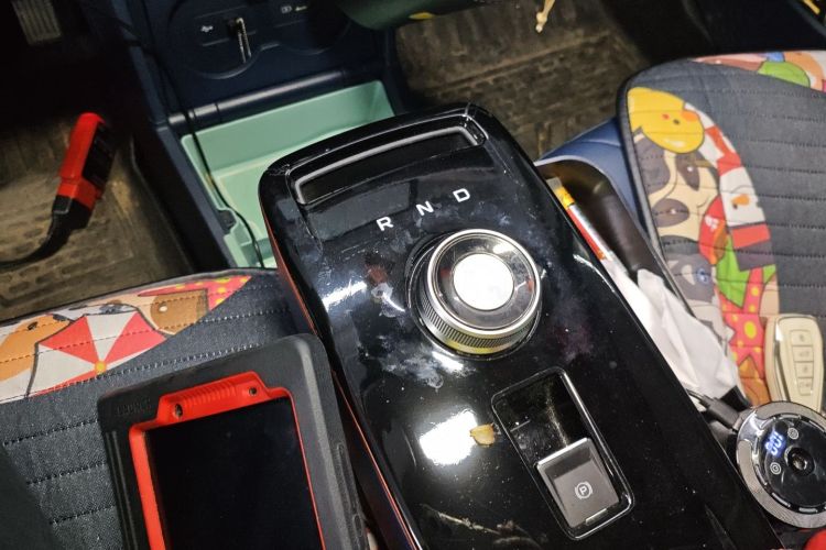 Used Geometry E Firefly 2022 401 km Linglong Tiger 5 Seats