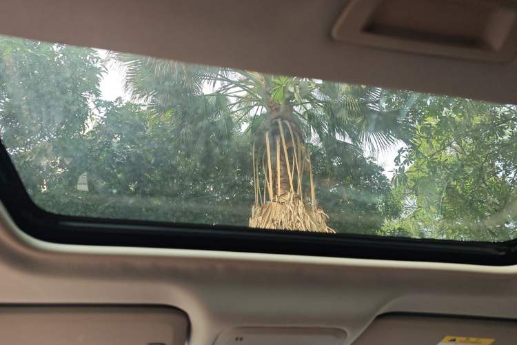 Used Buick GT 2015 15N Manual Elite Edition