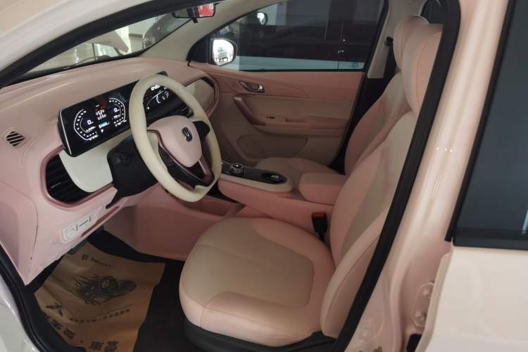 Used CHANGAN OSHAN Benni E-Star 2022 Qingxin Edition Colorful Model Lithium Iron Phosphate Left Front Seat