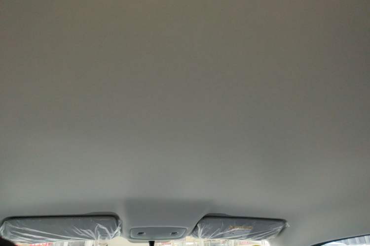 Used Leapmotor T03 2024 403 Comfort Edition Headliner