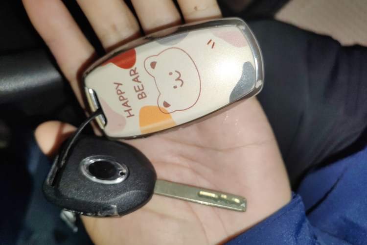 Used ORA Black Cat 2021 301 km Basic Version Vehicle Key