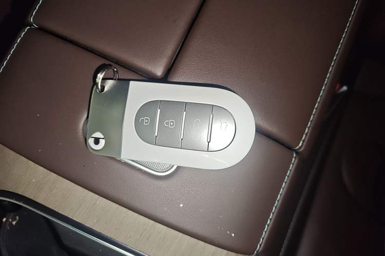 Used smart #5 2024 Ultra-Long Range Extraordinary Journey Luxury Edition