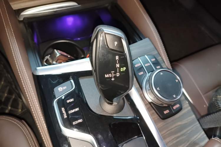 Used BMW 5 Series New Energy 2019 530Le Luxury Package