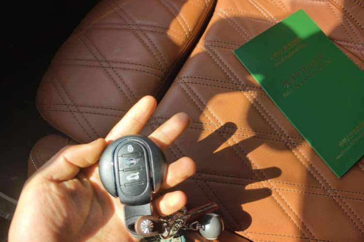 Used MINI 2022 1.5T COOPER Artist
