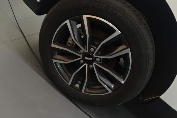 Used Wey VV5 2021 1.5T Two-Wheel Drive Color Pioneer
