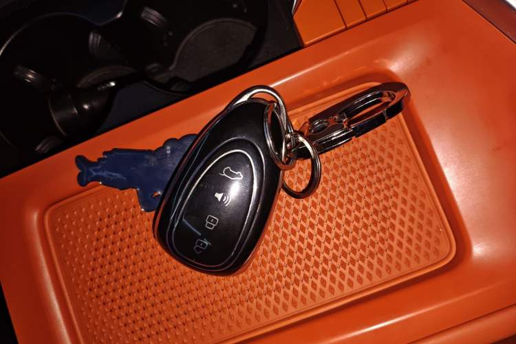 Used Wey Lanshan 2023 Four-Wheel Drive Ultra-Long Range Version Vehicle Key