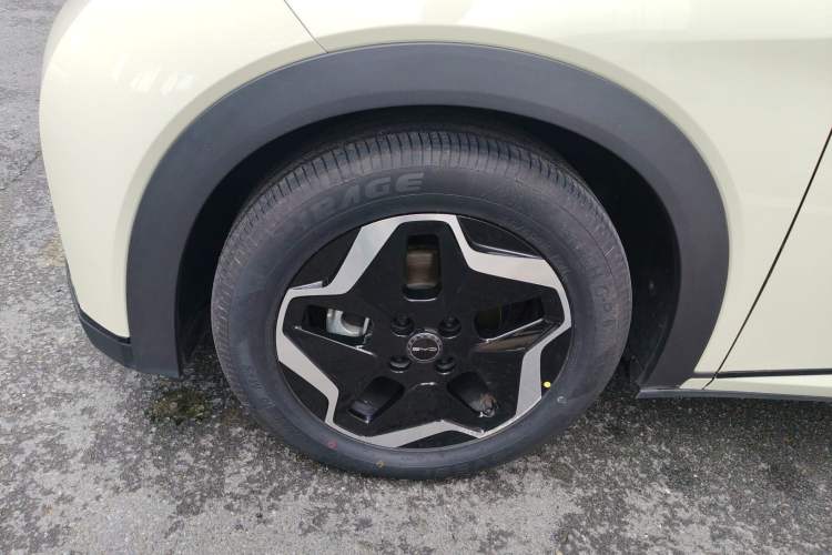 Used BYD Dolphin 2021 405 km Fashion Edition Left Front Wheel Hub