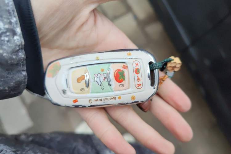 Used Geely Auto Vision X3 2020 1.5L CVT Luxury Model