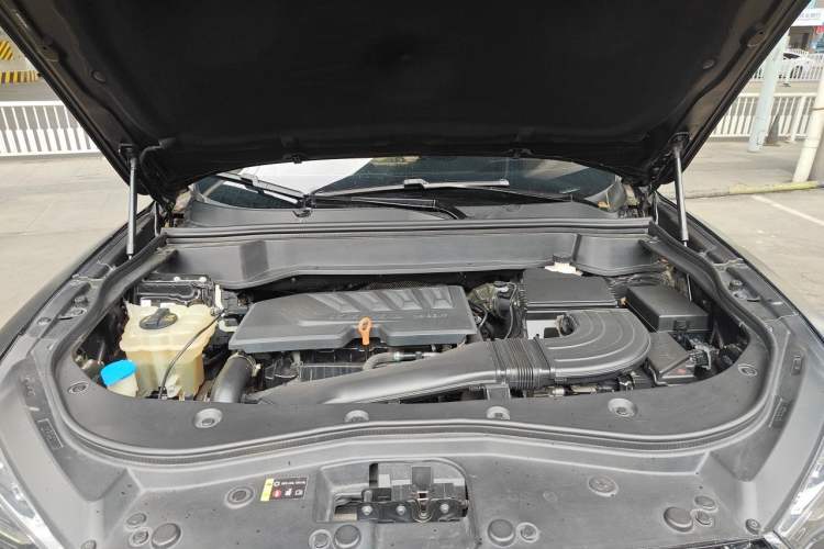 Used Haval F7 2020 1.5T Two-Wheel Drive i-Type
