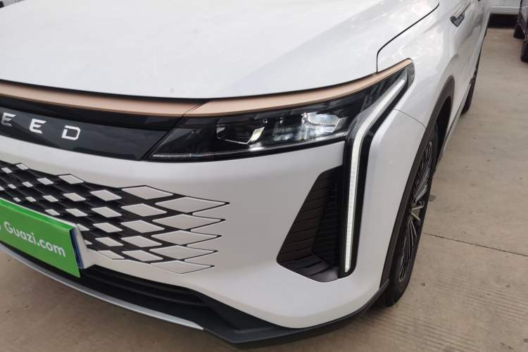 Used EXEED Stellar 2023 400T Two-Wheel Drive Comfort Flyfish Edition