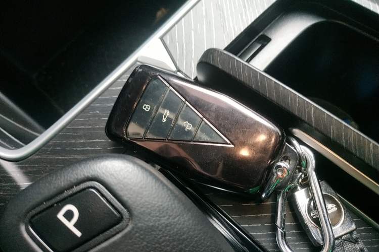 Used Venucia V 2024 260T Idol Joy Ride Pro Edition