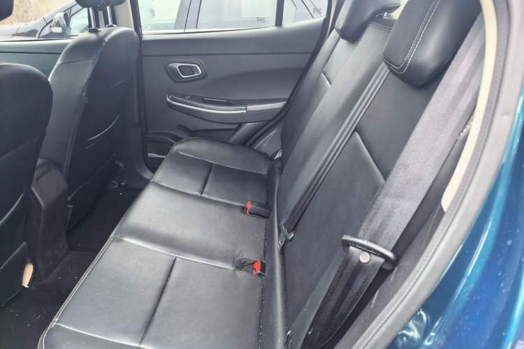 Used Dayun Yuehu 2022 30.66 kWh Two-Wheel Drive VIP Edition
