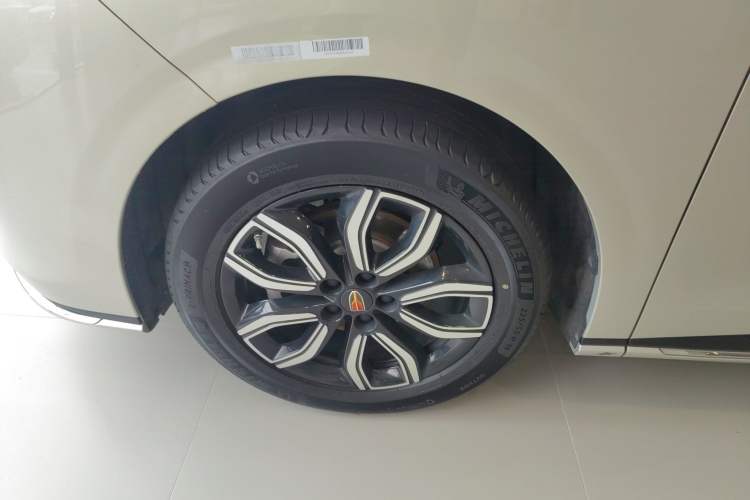 Used Hongqi HQ9 2023 2.0T Smart Connect Flagship Edition