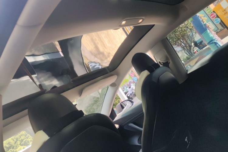 Used Tesla Model 3 2020 Standard Range Rear-Wheel Drive Upgraded Version Headliner