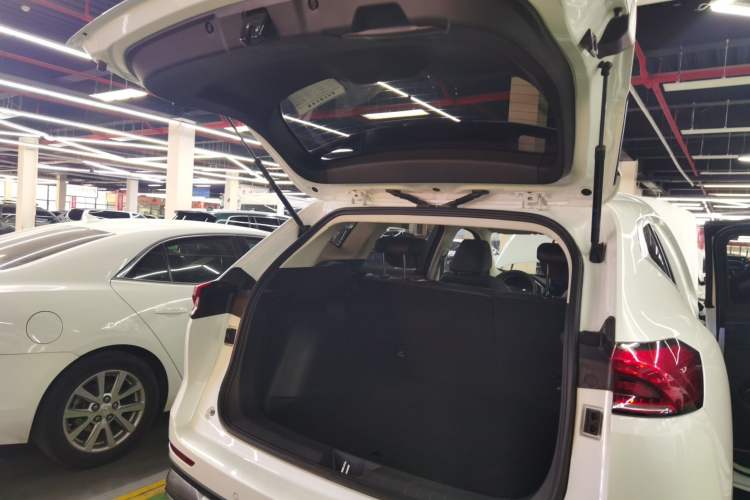 Used Haval H6 2021 National Trend Edition 1.5T Automatic Urban Version
