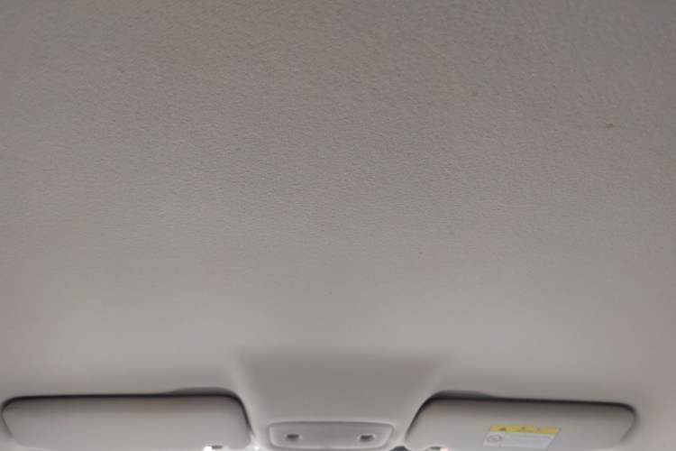 Used Leapmotor T03 2022 Crystal Edition Headliner