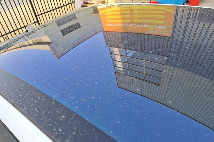 Used Hongqi EH7 2025 600 Smart Selection Edition
