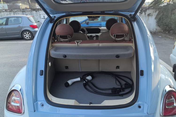 Used ORA Ballet Cat 2023 401 km Luxury Version
