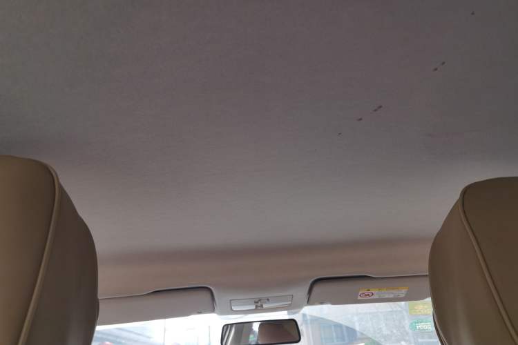 Used Volkswagen Santana 2019 1.5L Manual Fashion Edition China VI Standard Headliner