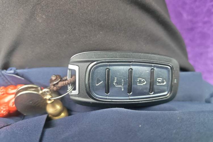 Used Hongqi HS5 2022 2.0T Smart Connect Flagship Enjoyment Purchase Edition