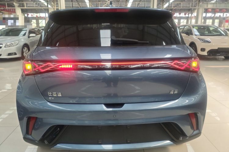 Used BYD Dolphin 2024 Honor Edition 420km Fashion Version Rear