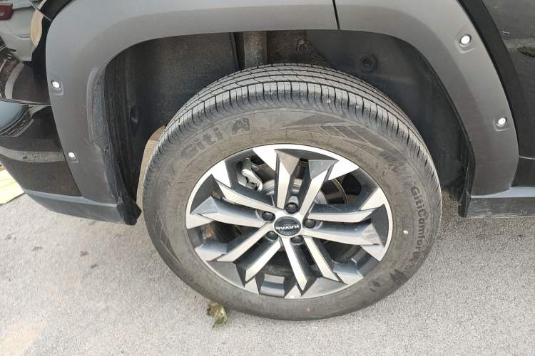 Used Haval H Dog 2023 2.0T All-Wheel-Drive Chaoye Plus