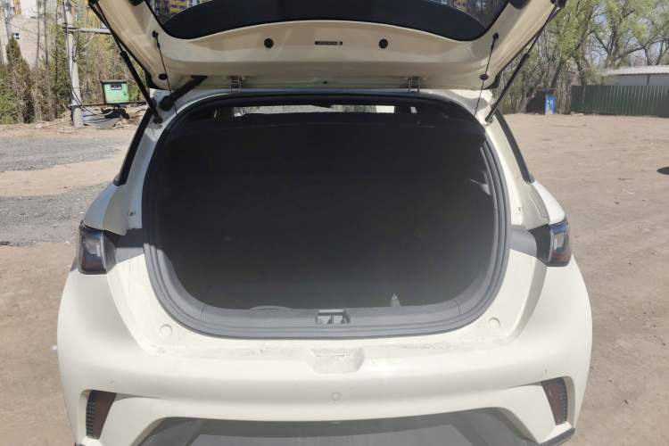 Used BYD Dolphin 2021 405 km Fashion Edition Trunk