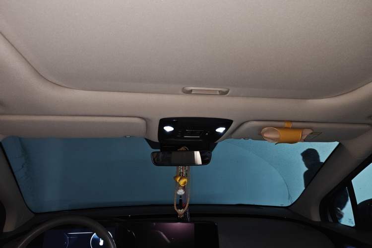 Used Kia Carnival 2021 2.0T Flagship Edition Headliner