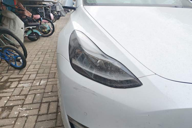 Used Tesla Model Y 2021 Standard Range Rear-Wheel Drive Version