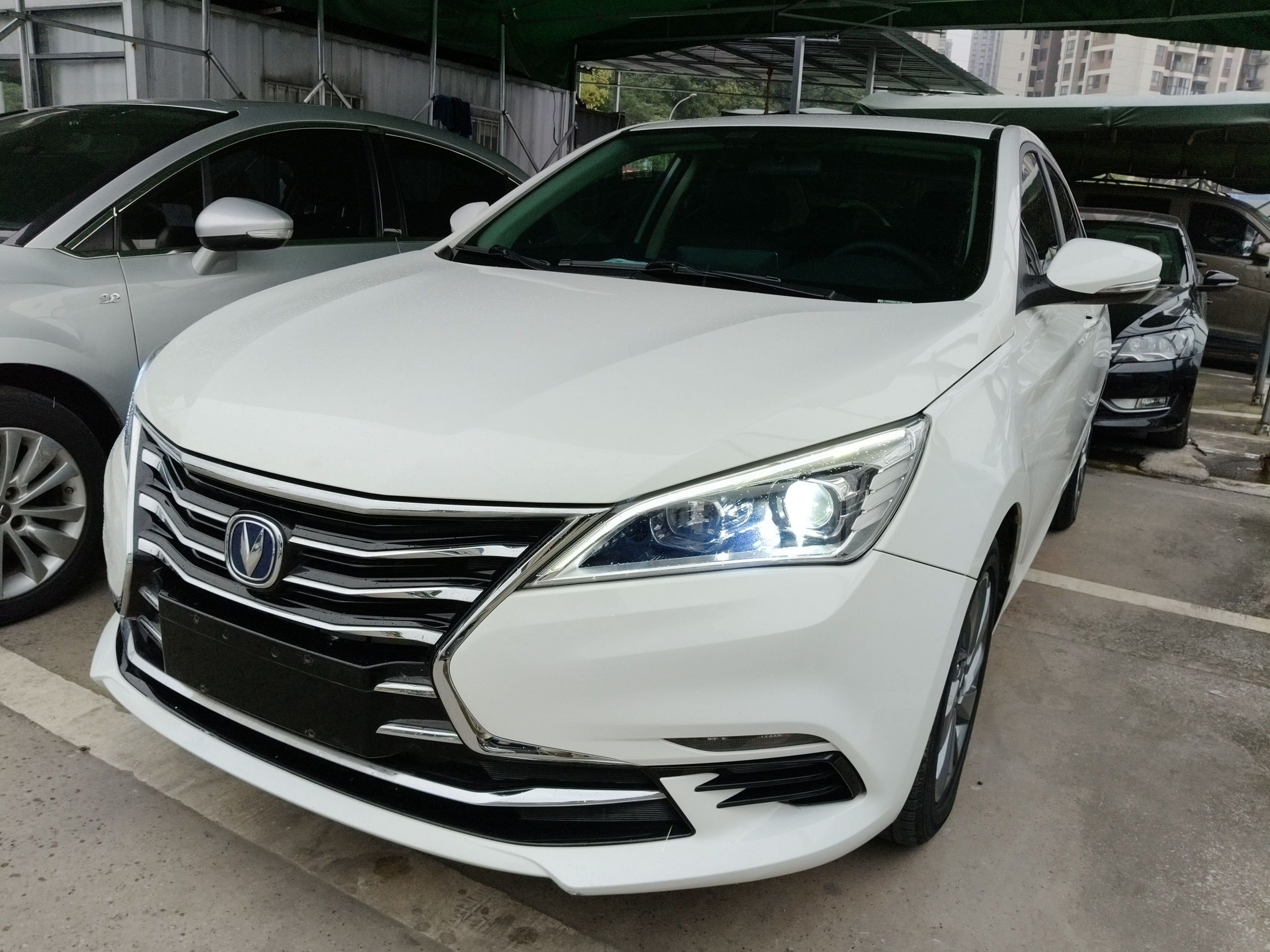Under Front Bumper