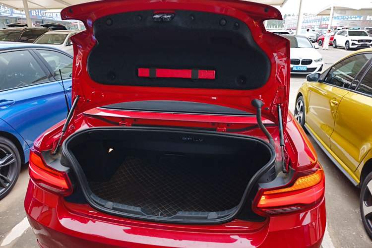 Used BMW 2 Series (Import) 2019 225i Convertible Coupe Sports Design Package
