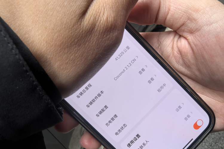 Used ONVO L60 2024 60 kWh Rear-Drive Version
